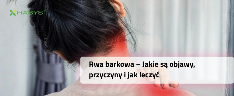 rwa_barkowa-_zdjecie_glowne_-_topblog2