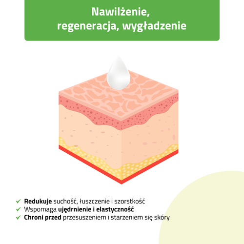 Zestaw do masażu twarzy HABYS: kamień Gua Sha jadeitowy + roller + naturalny olejek migdałowy 100 ml